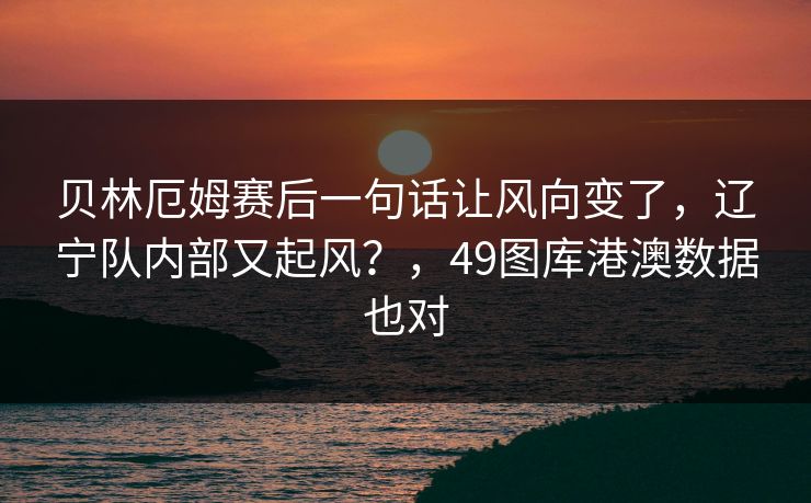 贝林厄姆赛后一句话让风向变了，辽宁队内部又起风？，49图库港澳数据也对